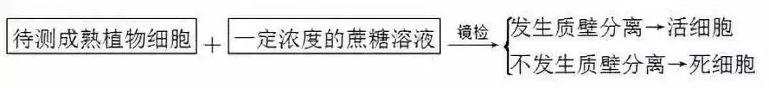 涵盖高中所有生物实验知识点