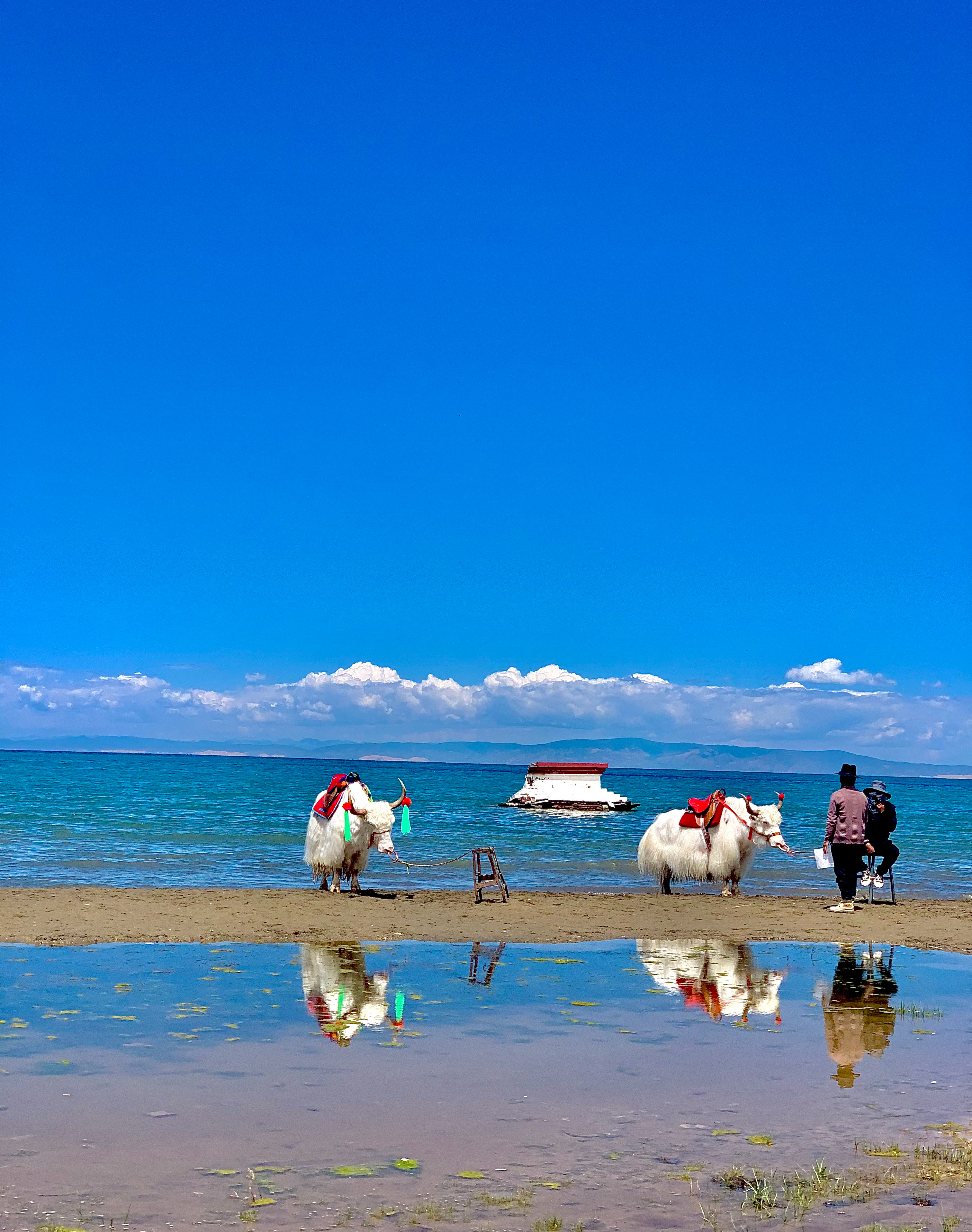 青海6天5晚旅游攻略,首次打卡必看