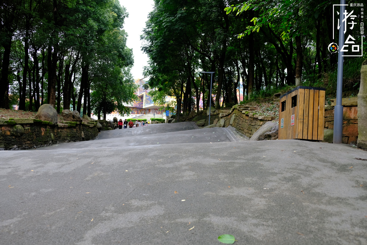 重庆特色大学一览，本地人想留下，外地考生很向往