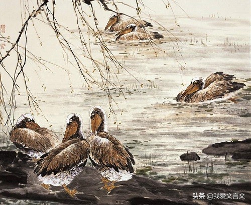 经典文言文赏析｜天敌