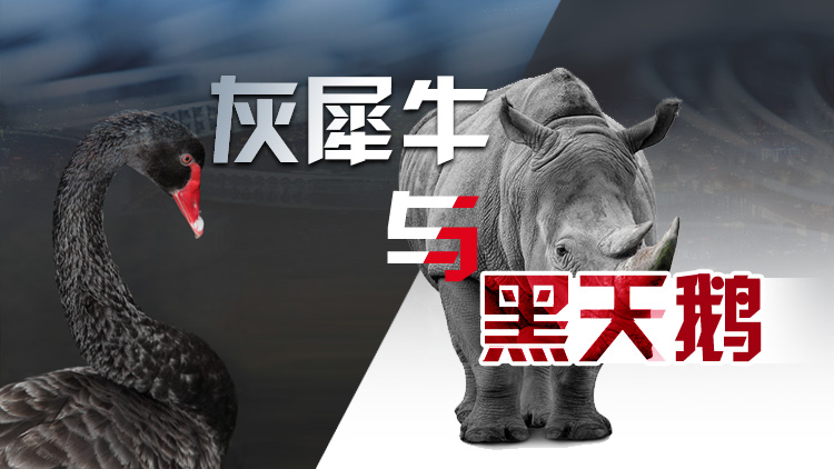 黑天鹅灰犀牛事件是什么意思？黑天鹅事件和灰犀牛事件
