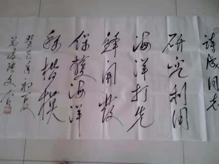 发展绿色循环经济,建设海洋品牌强国