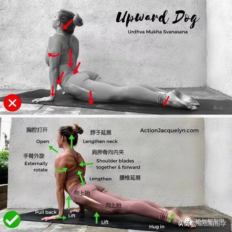 28个常见瑜伽体式“正误对比”图，初学者尤其要注意！（收藏级）