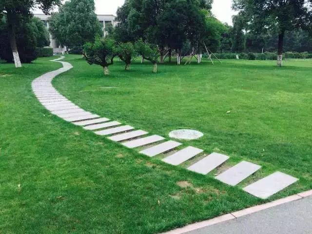 你不知道的宁波诺丁汉大学，不知不觉已是省内第二高校