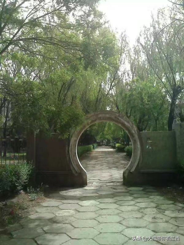 大同医专校园回忆