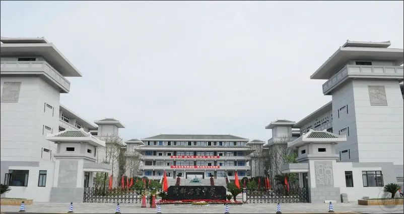 四七九随你挑，选哪个好？