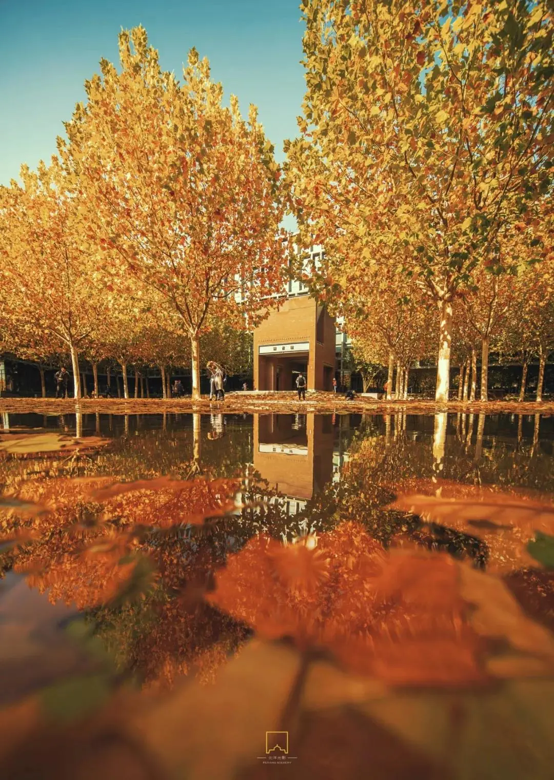 天津大学，为什么是中国最有“侠气”的大学？