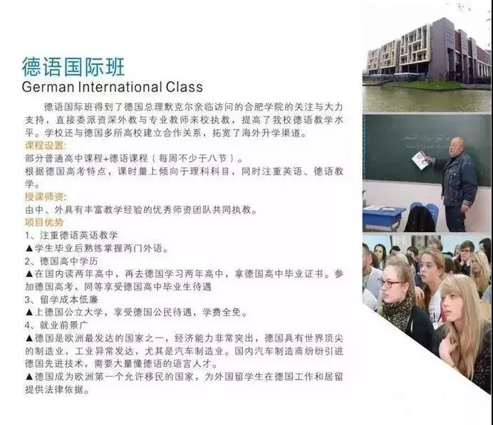 合肥国际学校有哪些，超详细国际学校一览表