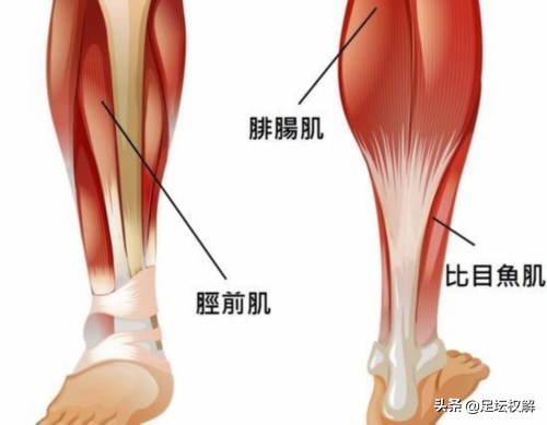 梅西隔日(最大敌人来临？足坛恐再无精彩突破，梅西最强技能将被伤病限制)