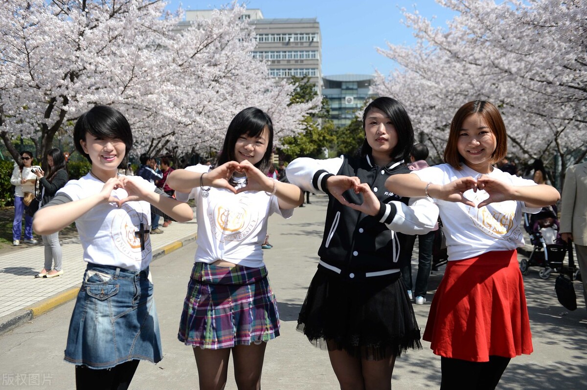 美术艺考生报考同济大学难吗？如果具备这3个方面的优势建议报考