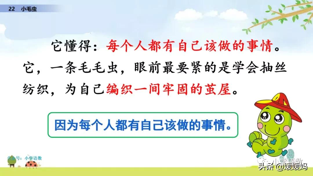 二年级下册语文课文22《小毛虫》图文详解及同步练习