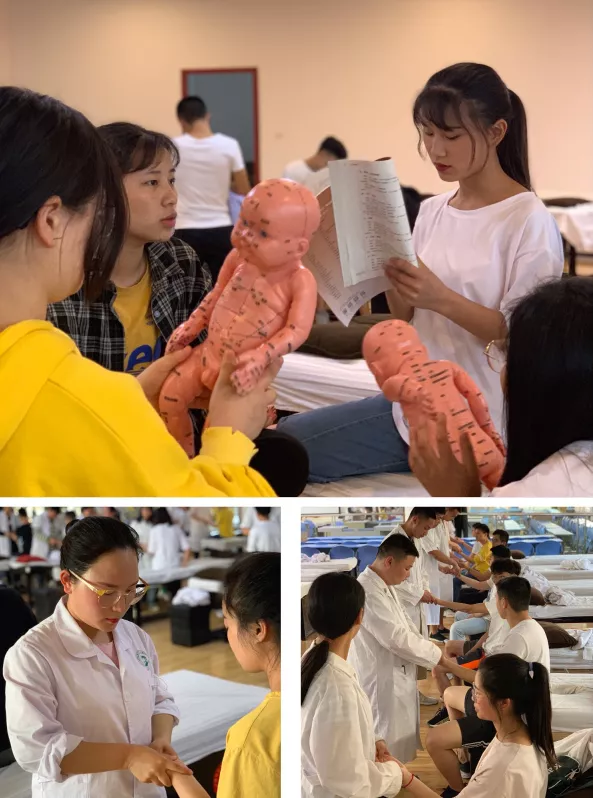 对话成都中医药大学附属医院针灸学校·四川省针灸学校