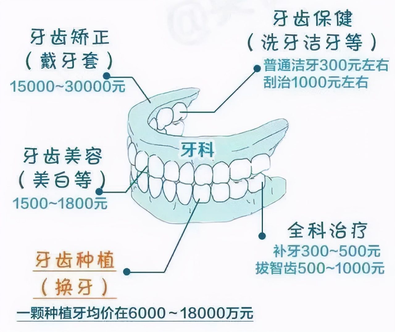 牙钻一响黄金“万两”？心脏支架价格下降了，牙科能不能够安排上