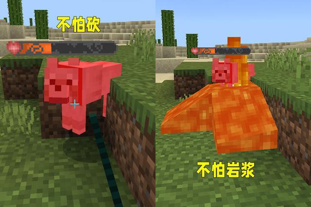 我的世界：看不到玩家“洗澡”的单向玻璃，让你吃惊的MC知识