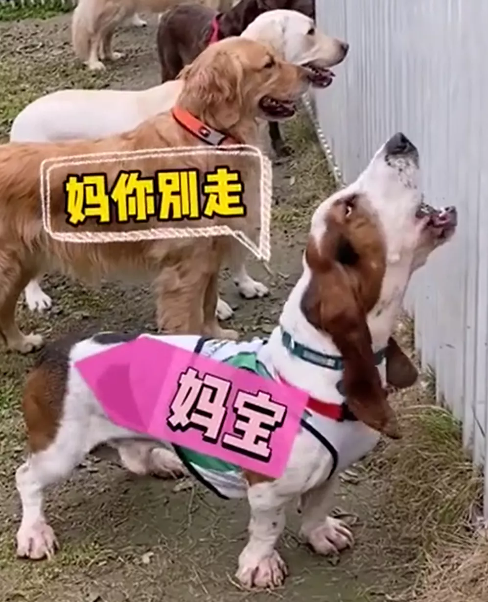 重庆购物狂家居装修