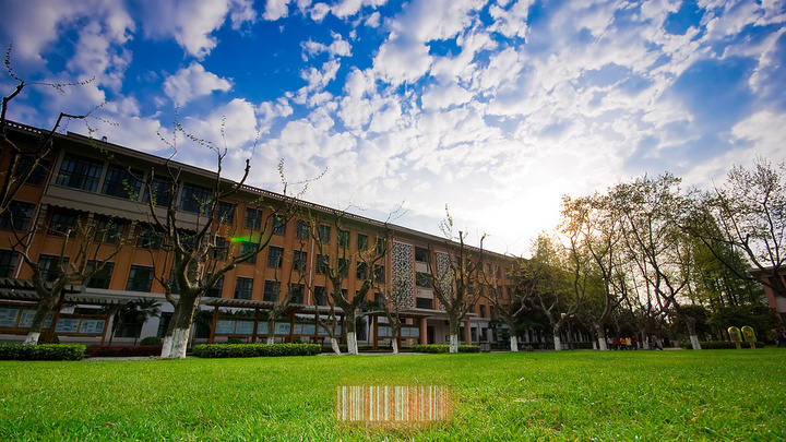 这3所958大学被“热捧”，却华而不实，武汉大学尴尬上榜！