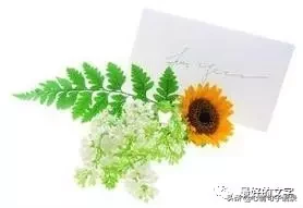 人生苦短 , 请善待自己