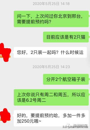 给大家介绍宠物托运的全过程，靠谱的宠物托运应该是怎么样的