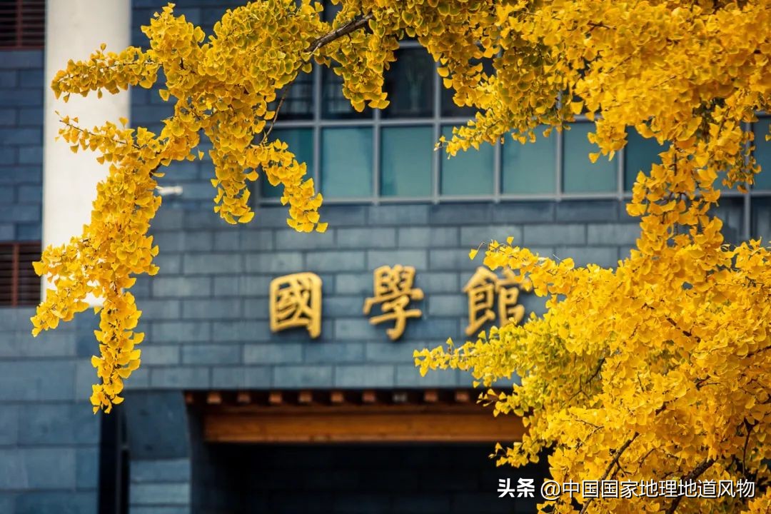 新中国的第一所新型正规大学——中国人民大学有多强？