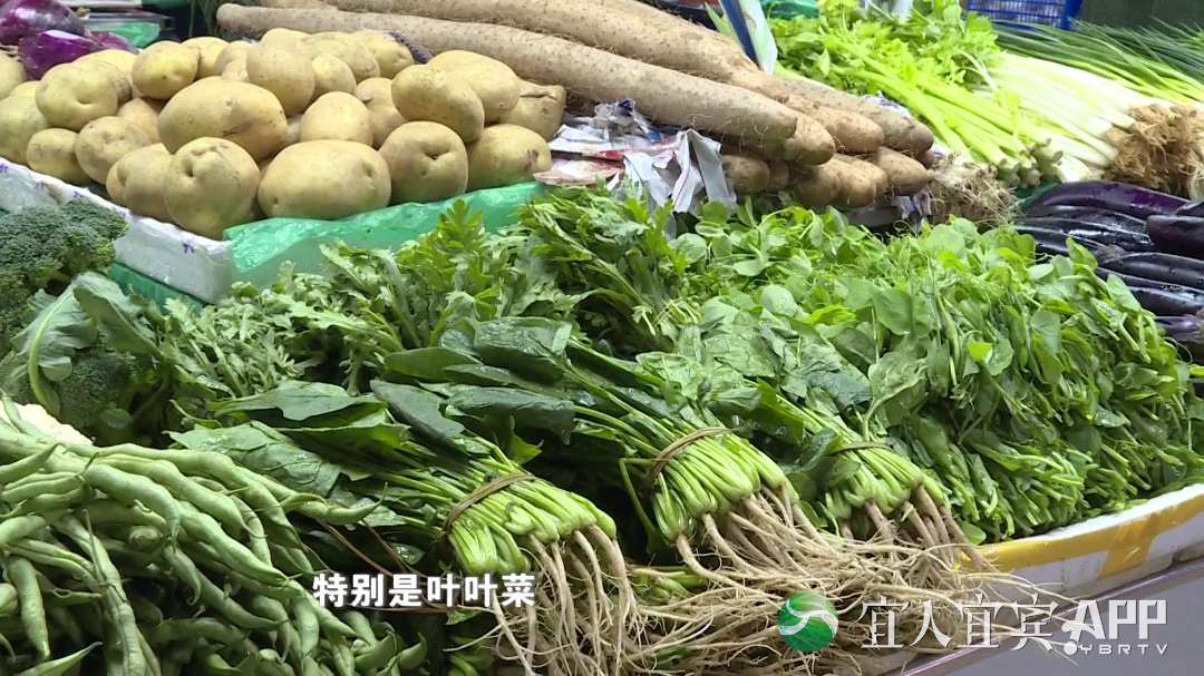 豌豆尖最贵12.8元/斤！预计11月中旬宜宾本地蔬菜大量上市后，蔬菜价格或将有许回落