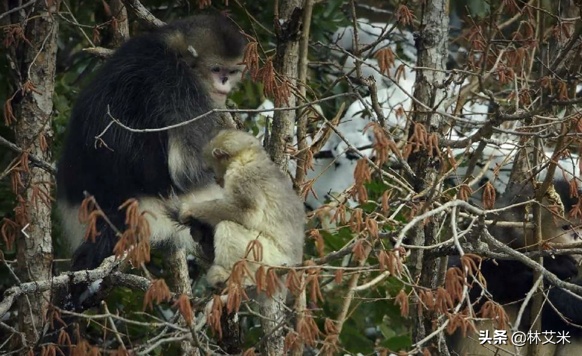 理想照耀中国：龙勇诚高考填错志愿，将错就错成就伟大事业，靠啥