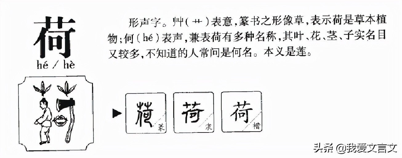 经典文言文赏析 | 泰山桂树