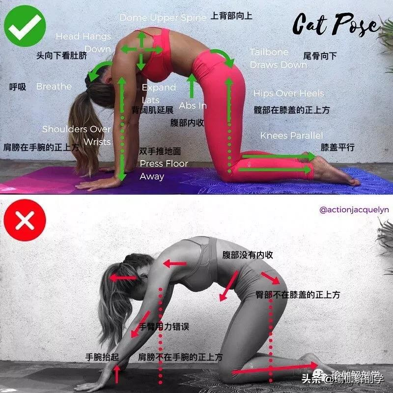 28个常见瑜伽体式“正误对比”图，初学者尤其要注意！（收藏级）