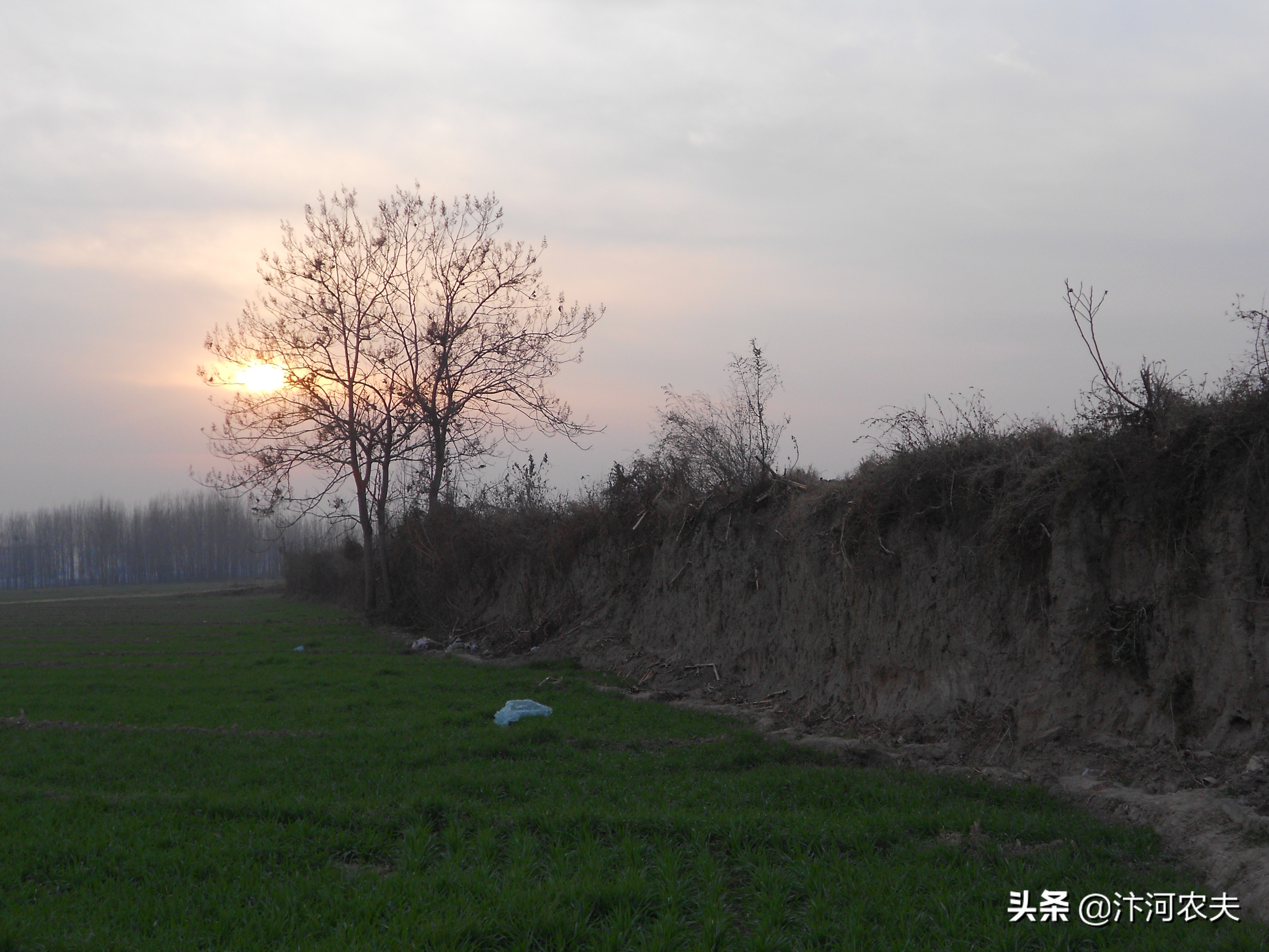 河师大新校区选址卫辉的利与弊