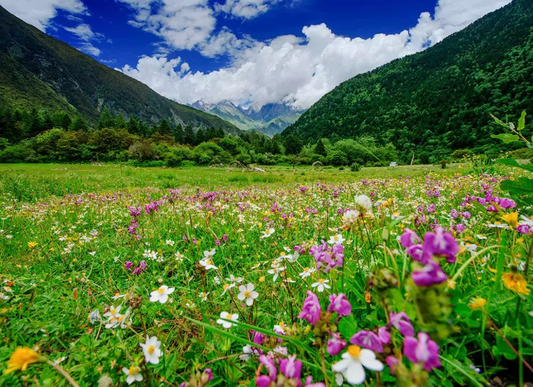 凭准考证免门票！成都周边这8大景区放大招，最长持续到9月