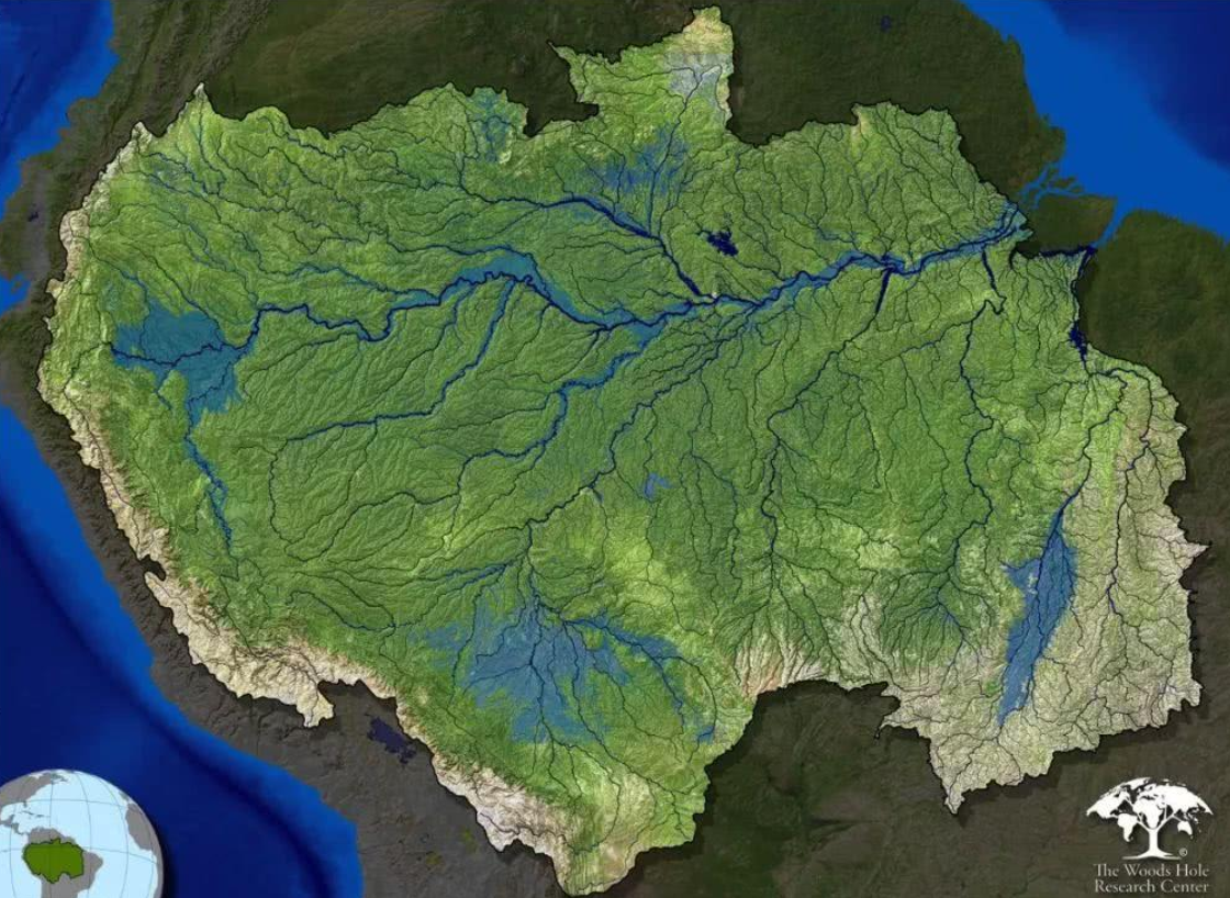 亚马逊是哪个国家地球之肺亚马逊热带雨林