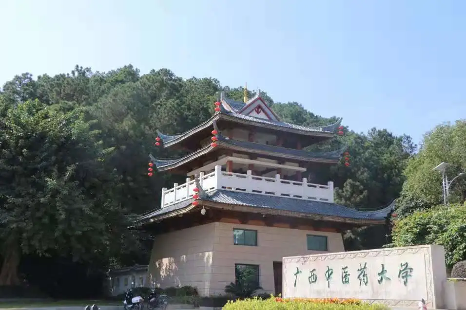 广西中医药大学第一临床医学院，中医外科学2021考研难度分析