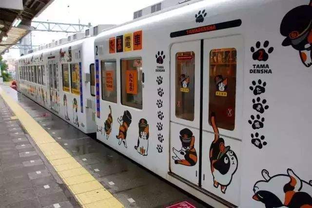 日本撸猫圣地合集！！猫奴们走起