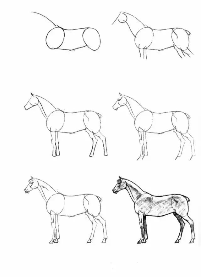 馬的簡筆畫(簡筆畫教程,50個馬的畫法!