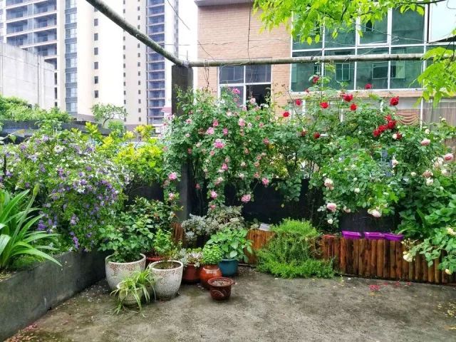 看完68道园艺专业术语，方可知园艺的秘密