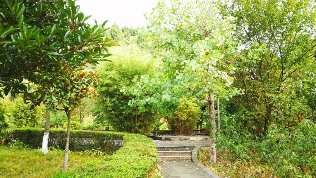 四川这所单招高校有百年历史,占地1000余亩