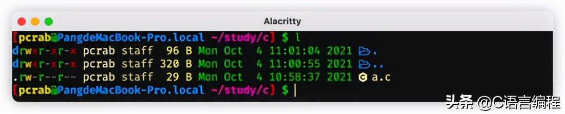 计算机专业：老师也许会跳过的 C 语言基础知识，赶紧补上一课