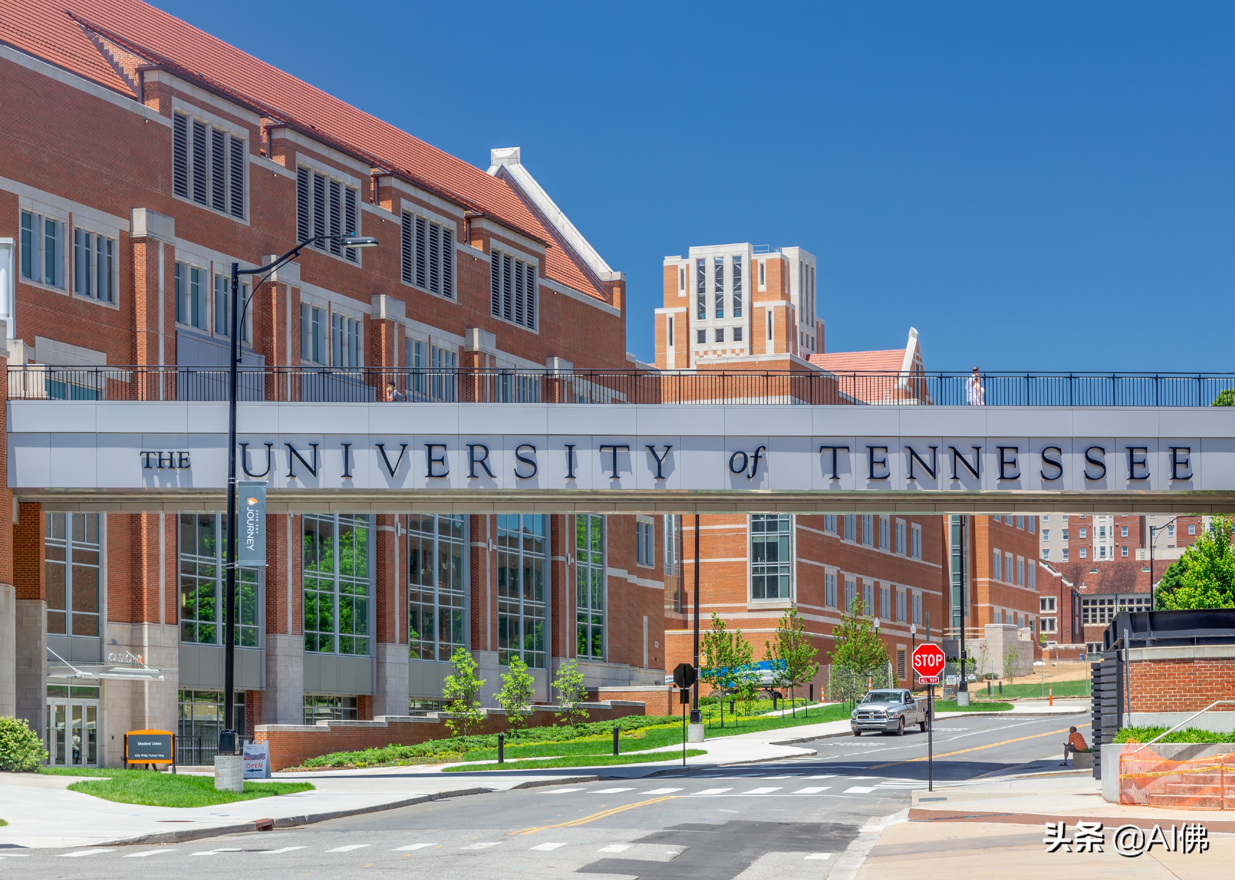 美国每个州ROI最高的公立大学