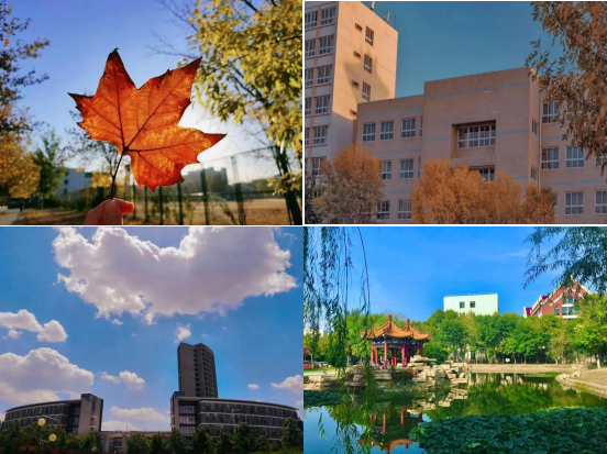 超心动！直击天津魅力高校，四季坐拥神仙颜值！网友：别人家的学校！