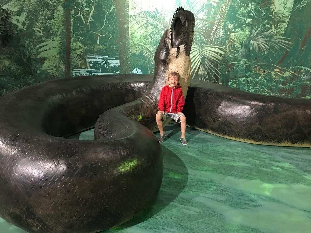 **史前巨蟒：5600万年前十大巨型蛇类的神秘世界**

（42字）