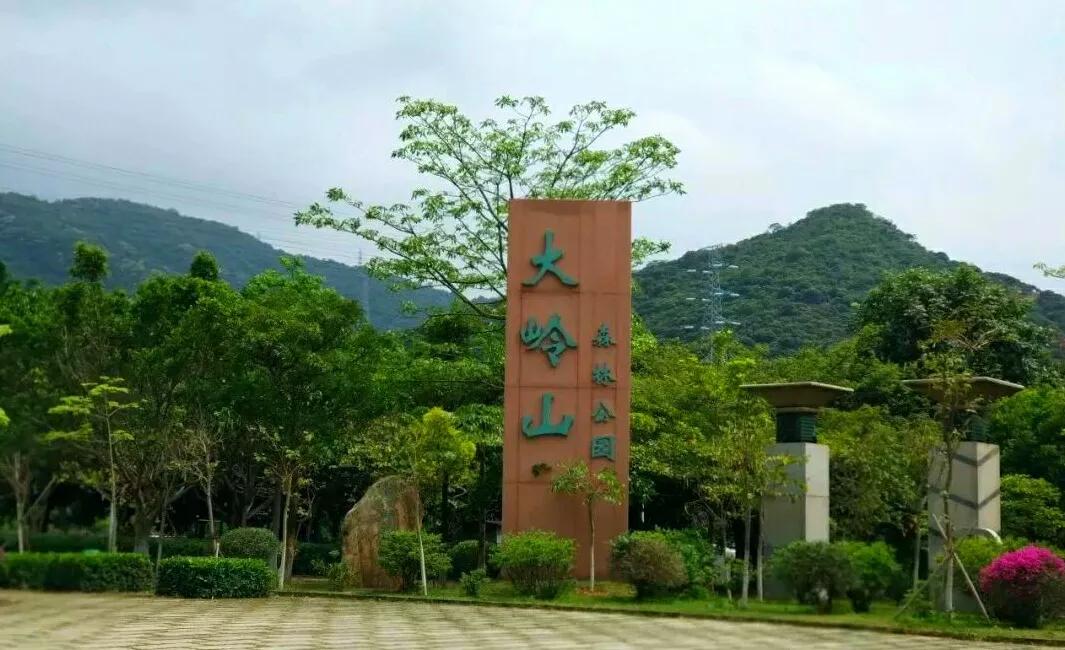 东莞7座免费山峰，景美人少故事多，可能你还没来过
