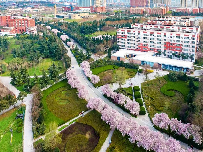 西安这座学费高达3万的大学，凭什么比985、211还受人欢迎？