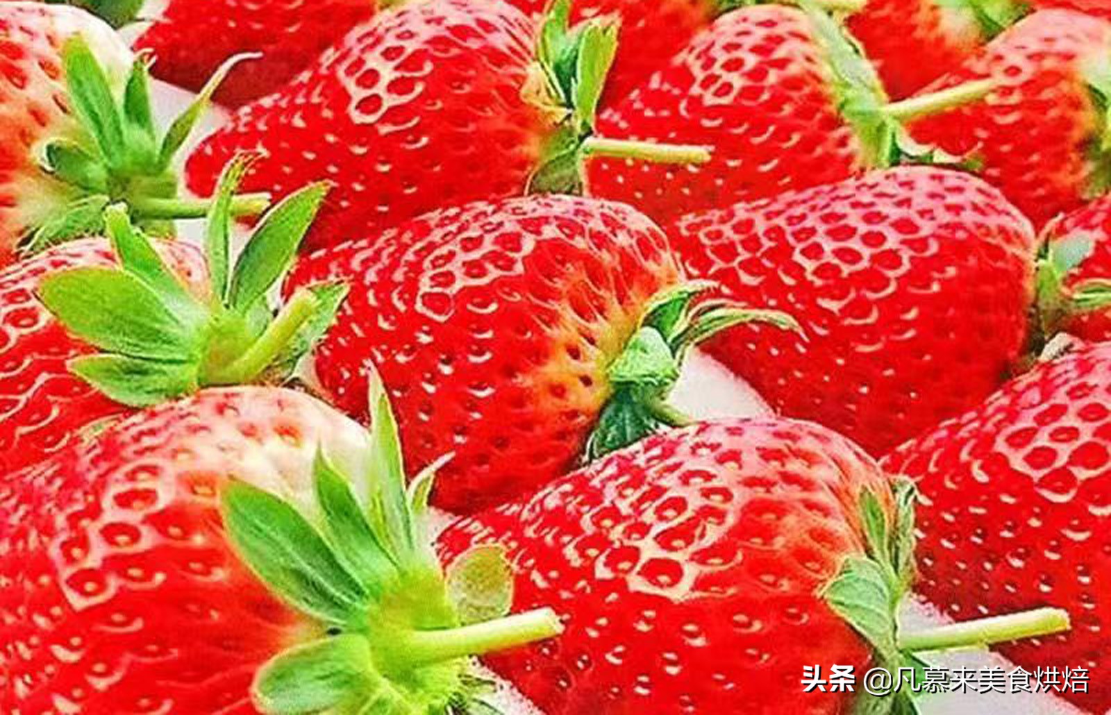 24种常见草莓品种，中国20大草莓产地？哪里的草莓最好吃？