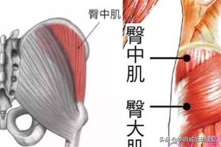 如何有效瘦小腿？