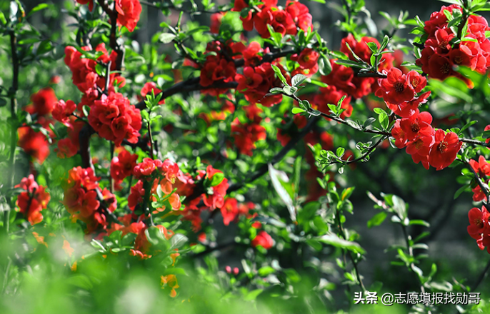 西部公认的航天大学，毕业生成“紧俏商品”！考上它算你厉害