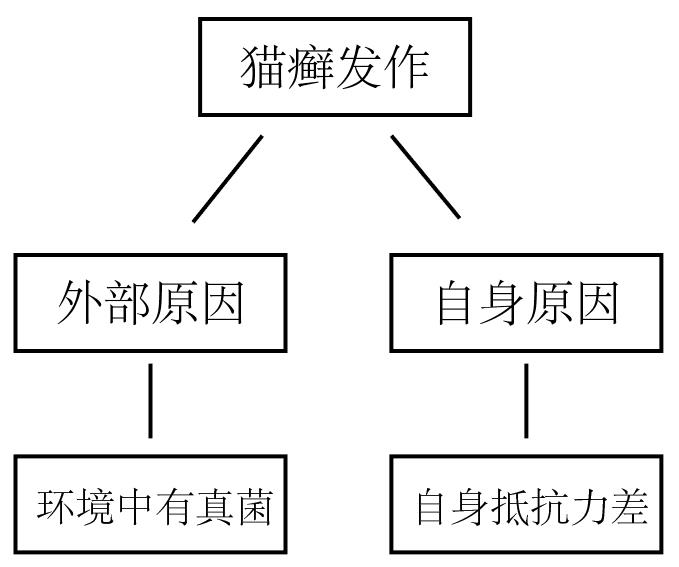 猫癣很头疼么，看完这篇你就明白了，干货