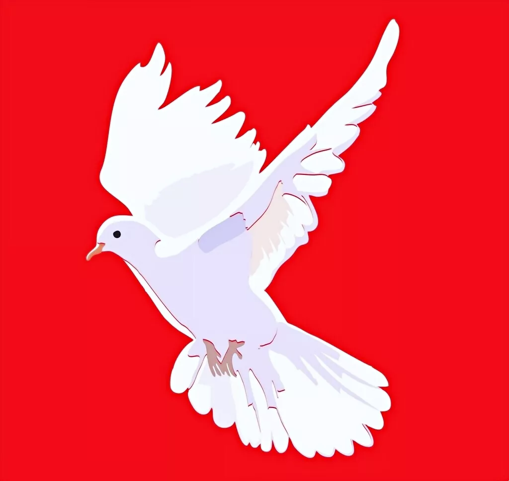 和平鸽～和平、友谊、团结、圣洁的象征