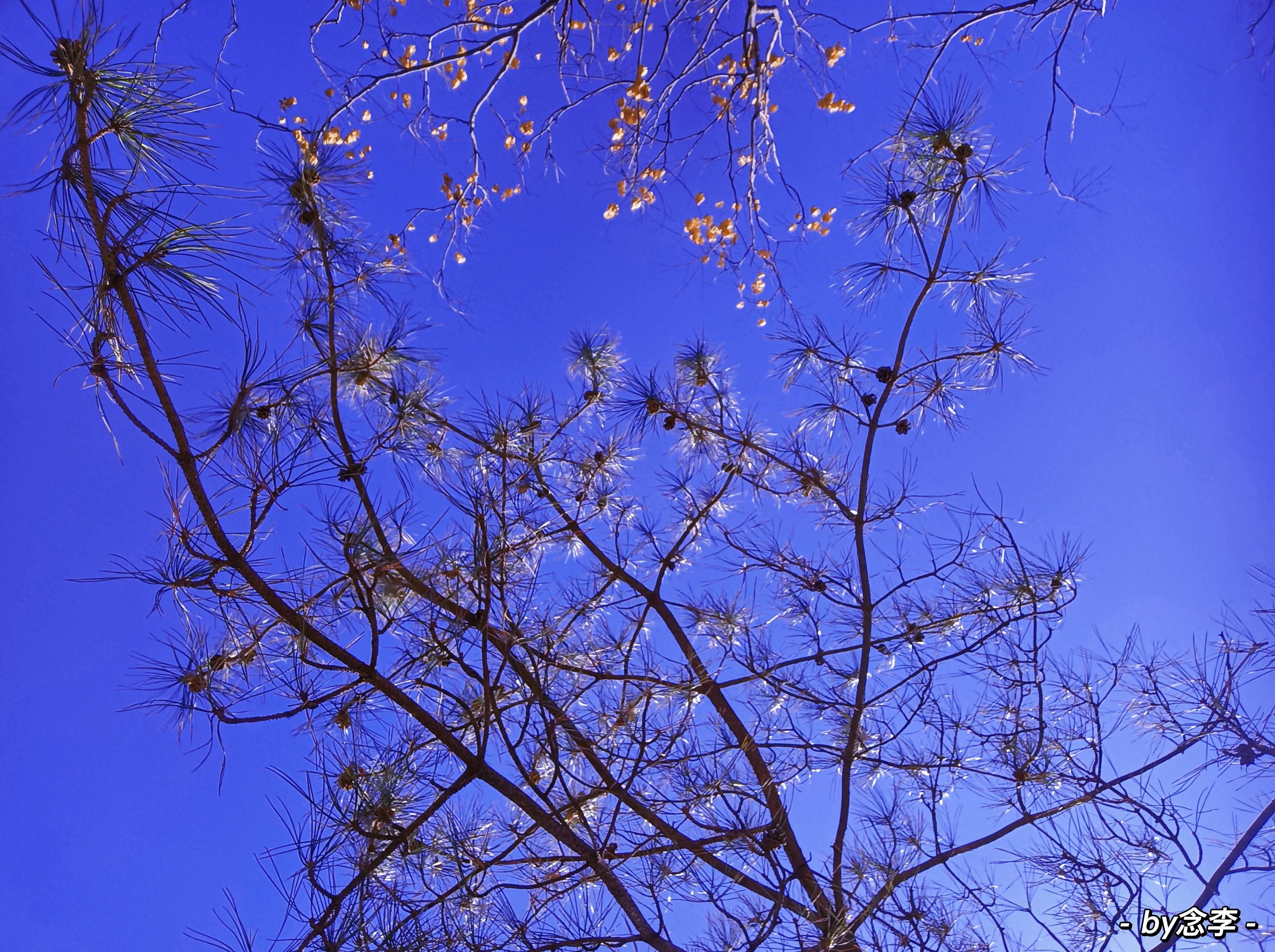 紫色的含义你知道吗？身边有喜欢紫色的人一定要注意了