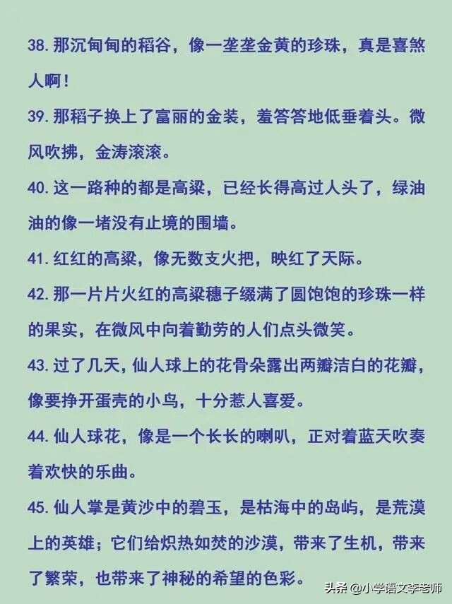 小学比喻句、拟人句、排比句、夸张句大全，快让孩子摘抄积累