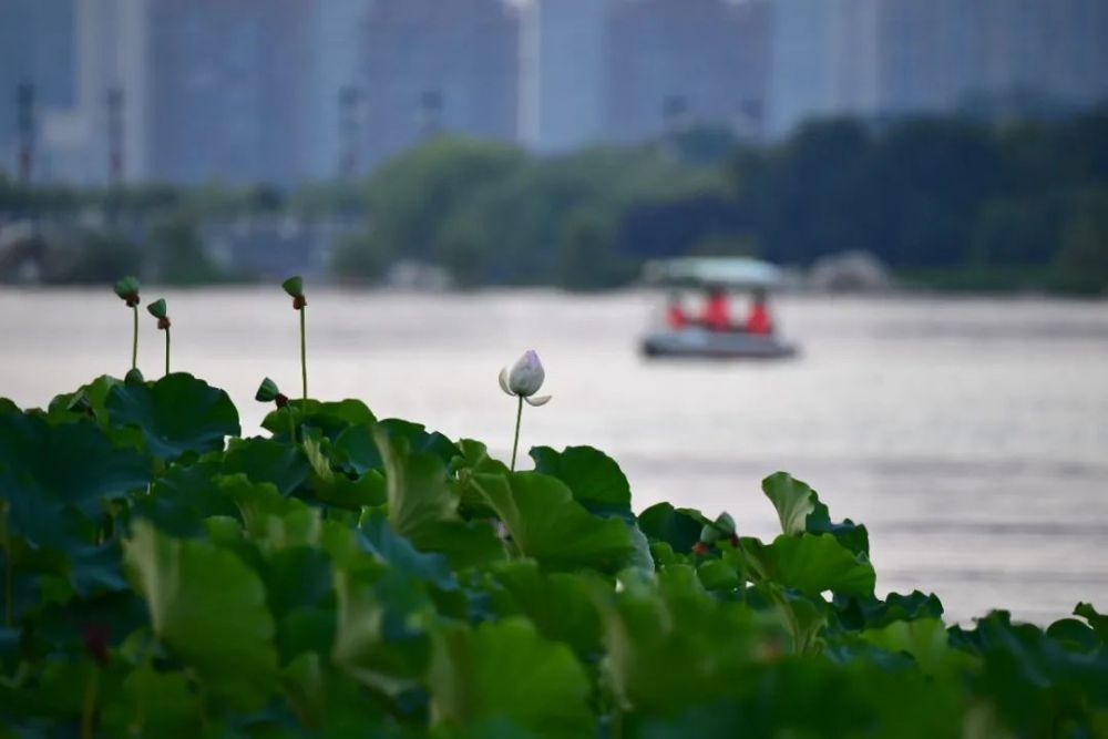 今日大暑，暑热难阻攀登人，秋风正启程