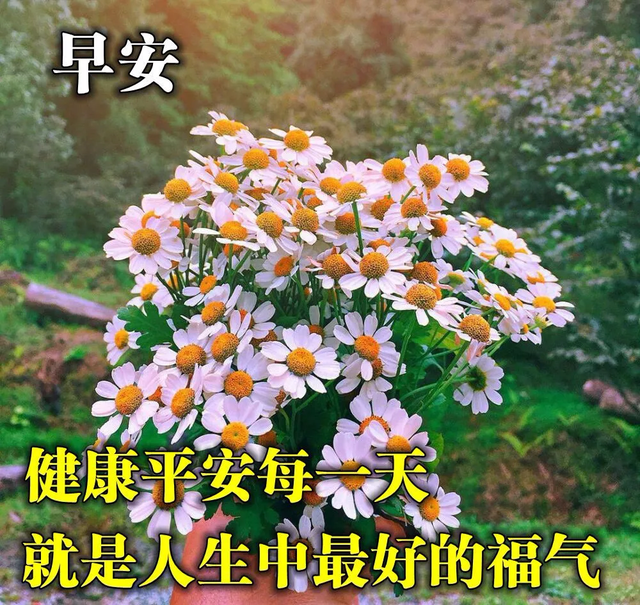 炎热夏季早上好特美表情图片带字，朋友圈很正能量的早安句子